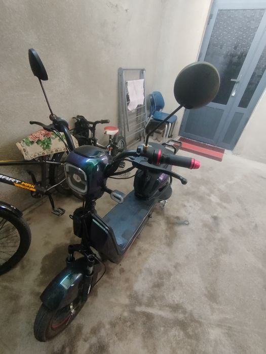 pentro choʻntak 14 skuter redline qiligan.