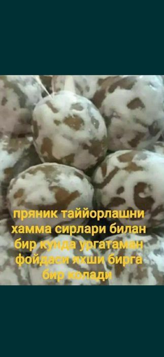 Pryaniki o'rgatamiz sirlari bilan