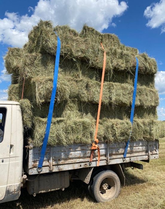 Тюк 550₸ сатылады