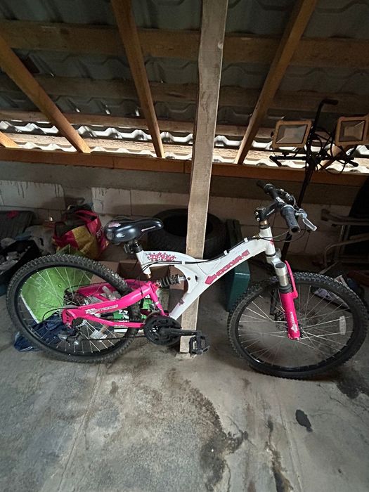 Biciclete de vânzare