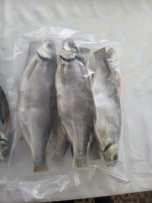 Рфбец 1кг 5000тг