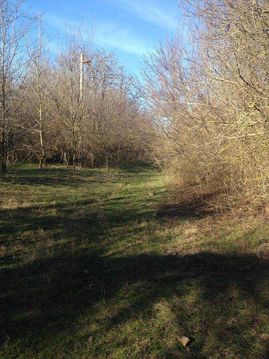 Парцел в Бежаново