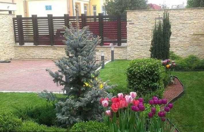 Gazon rulou Insamantare si sisteme de irigatii