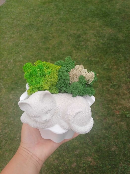 Цветни букети за всеки празник