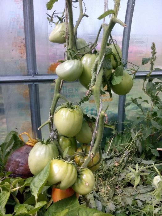 Продажа участка!