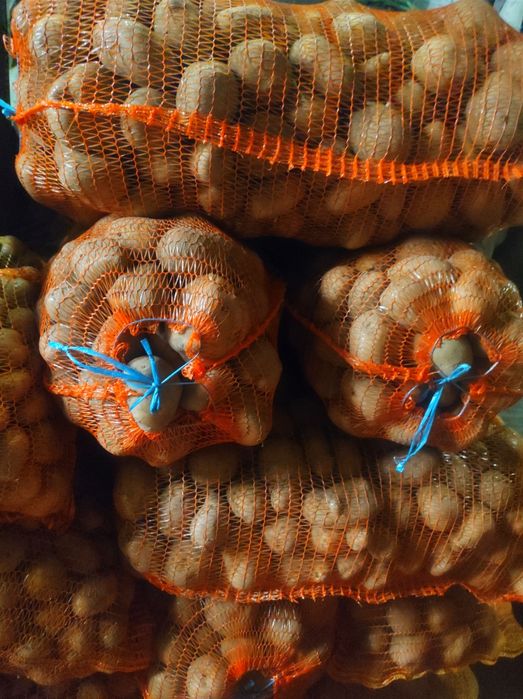 Cartofii de Făgăraș albi și roși ieftini și buni