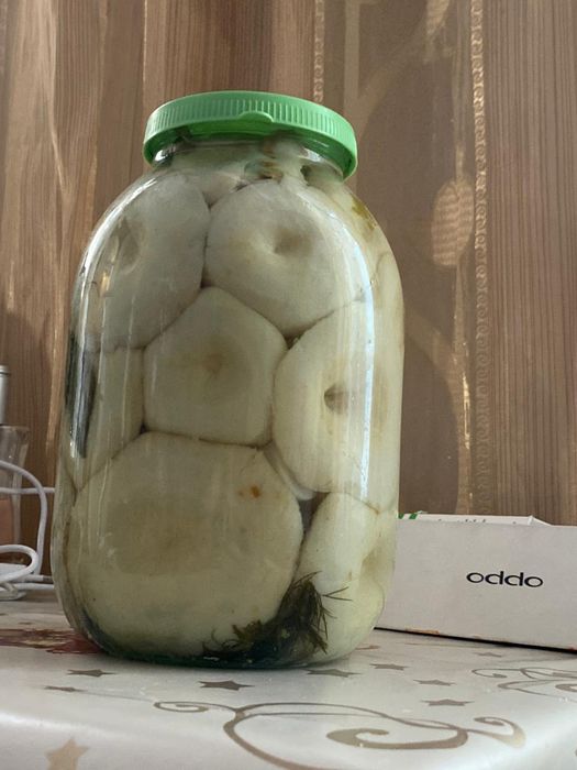 Продам грибы грузди