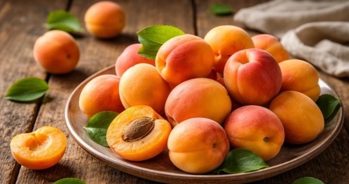 Сахорного  Абрикоса*"