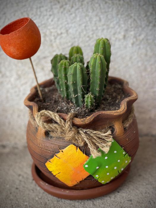 Подаръци,декорации