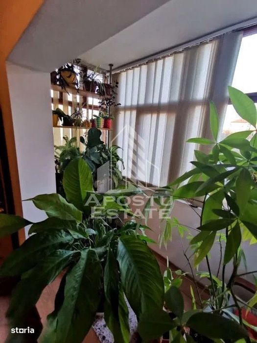 Apartament cu 3 camere de vanzare, 2 bai, zona Dambovita, Timisoara