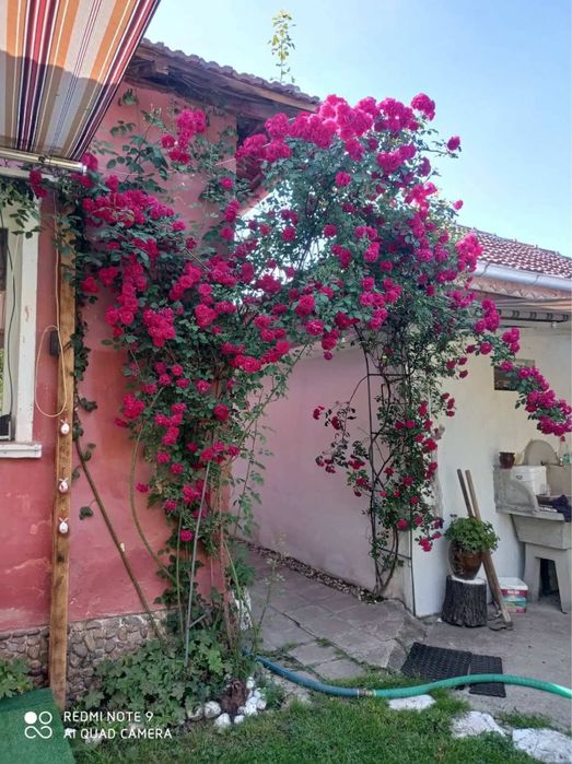 Продава се Къща в с. Крива бара, Област Монтана - 200 кв.м за 145 €/кв.м - Снимка #5
