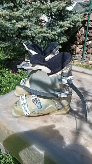 Clapari din Germania Nr 41