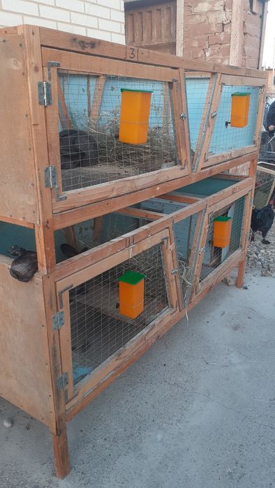 Куен клетка сотилади срочно.