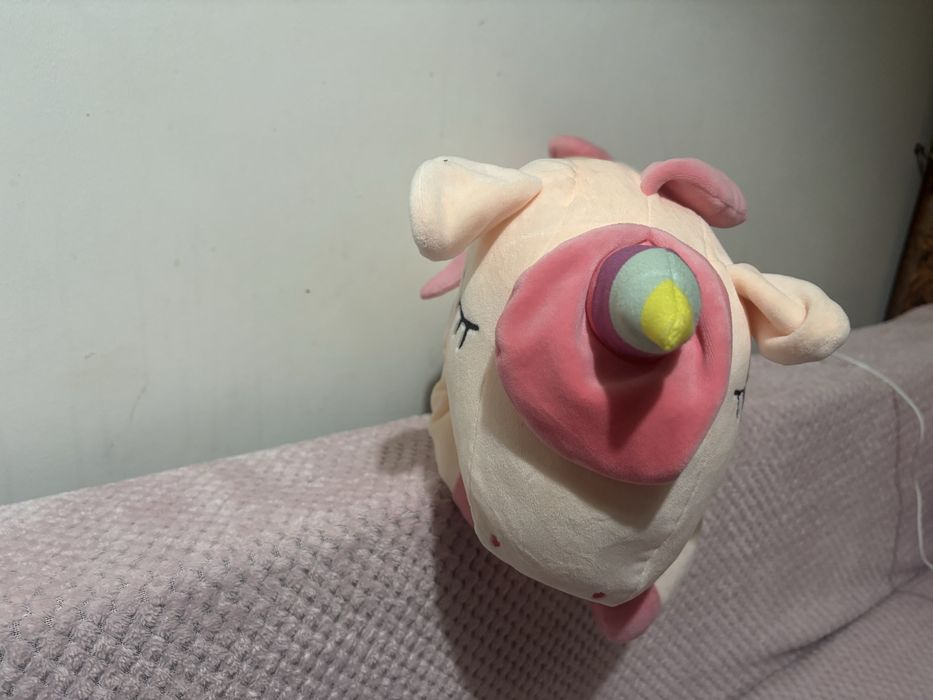 Ponei perna cu paturica