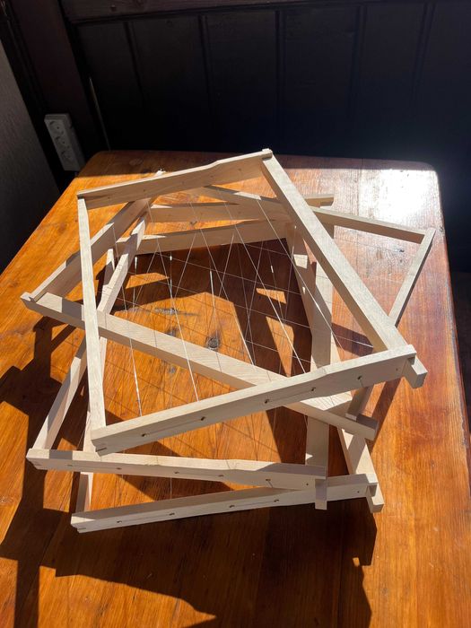 Rame din tei pentru stupi albine - apicultura