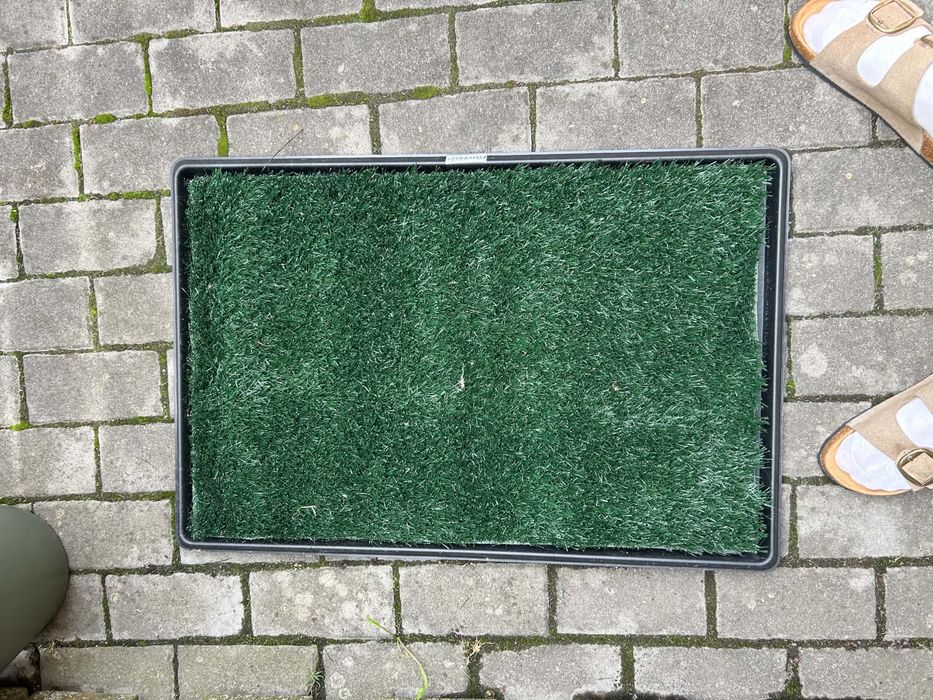Toaleta pentru caini, PawHut, PP, PE, 76 x 50, 5 x 3, 5 cm, Negru