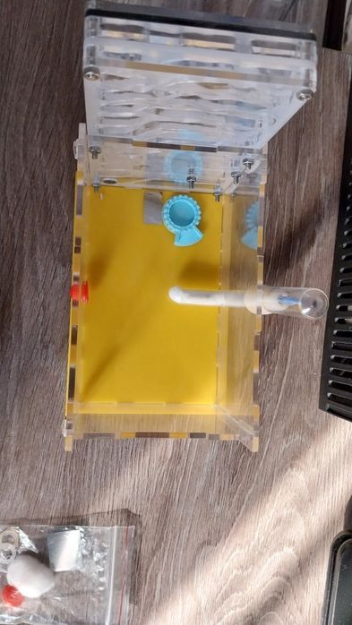 Муравьиная ферма.