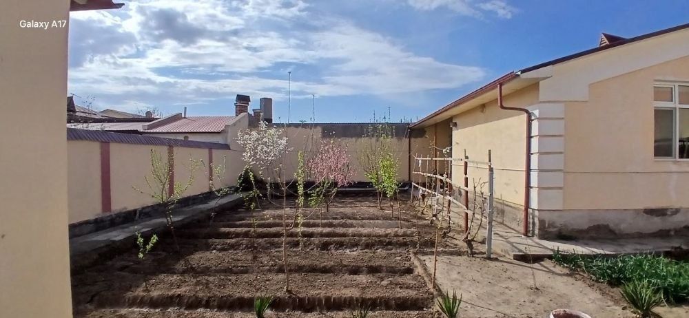 9-oxiri, namunali joy 600 m2