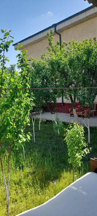 4 хонали ижараси 300 долла ижарар