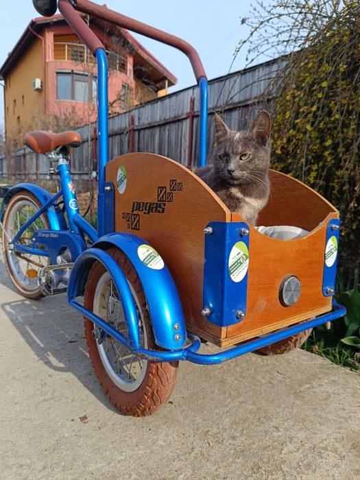 Bicicleta Pegas Cargo mini