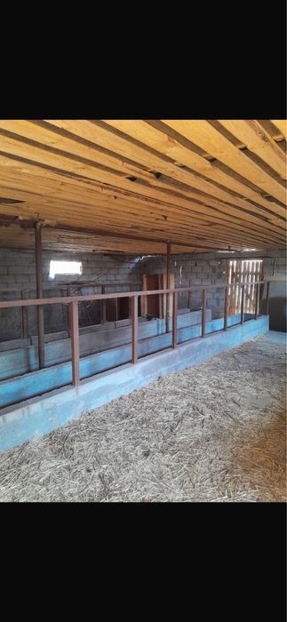 Продам откормочную базу