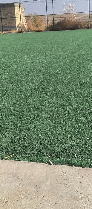 #Suniy chim#Газон#чим#минифутбол майдончаси#