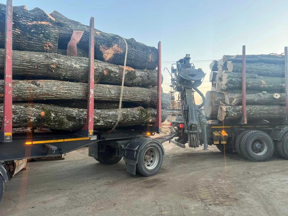 Lemn de foc FAG uscat, peleti de rasinoase- OFERTE