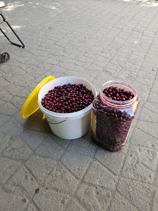 Вишьня вкусные,сочные,из Ахмера