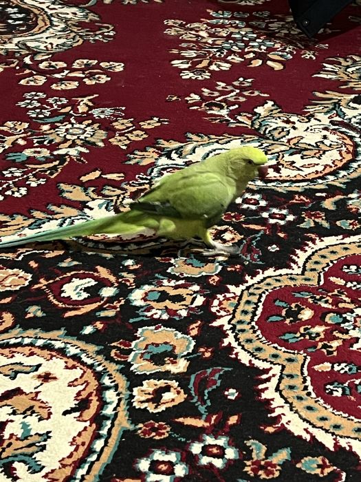 Срочно продам ожирелье ручной