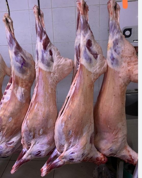 Продам баранину тушами
