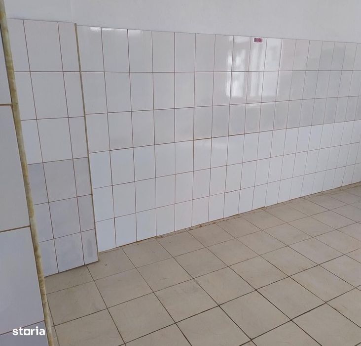 Spatiu Comercial | Cismigiu | Victoriei | Stradal