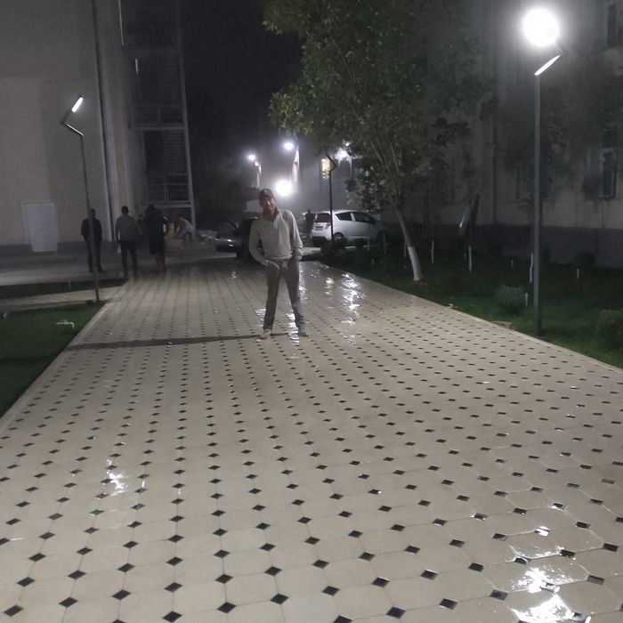 Burchatka teramiz sifati N1