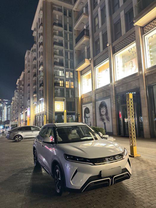 Byd yuan up 2025 afitsalniy