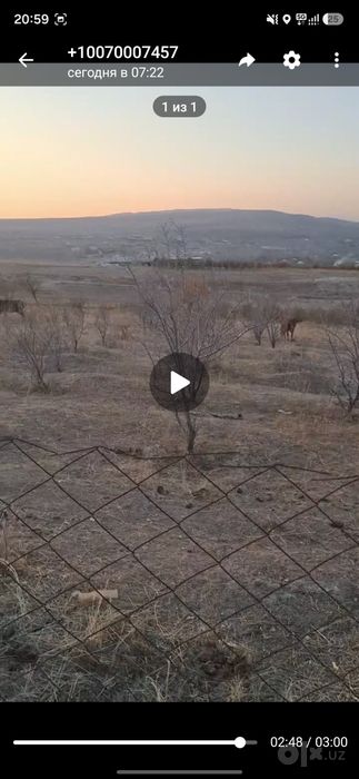 Кошработ тумани кошогоч да йер участка