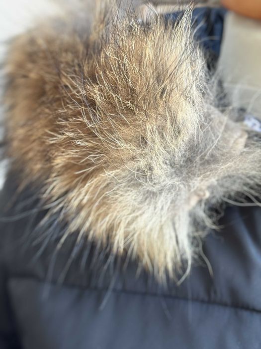 Geacă damă cu puf neagra cu glugă din blană naturală de raton