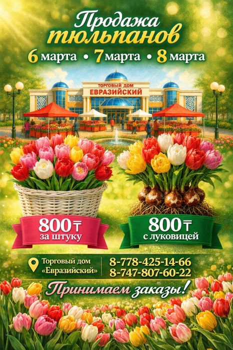 Тюльпаны  красивые