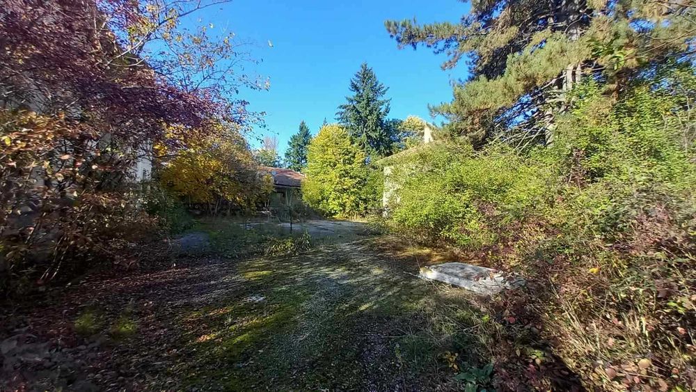 Продава се Парцел в Завет - 43470 кв.м за 10 €/кв.м - Снимка #21
