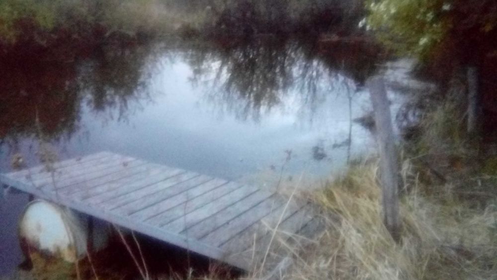 Дача  общество Кировец 1 за горводоканалом