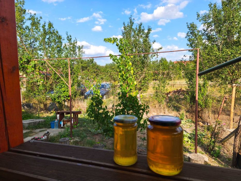 MIERE NATURALĂ de albine, direct de la producator