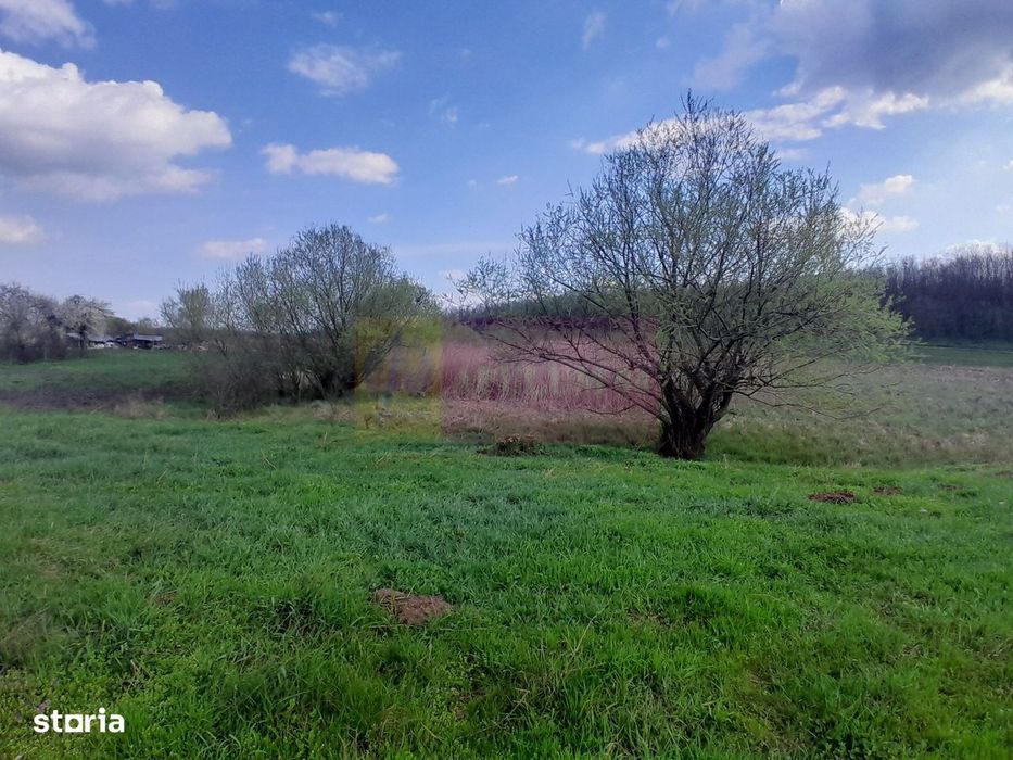 De Vanzare Teren 3400 Mp In Sat Podu Ilfovat / Com Buturugeni (Gr)