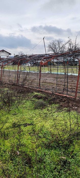 Vand echipamente agricultura : teasc struguri  , solare , cub plastic