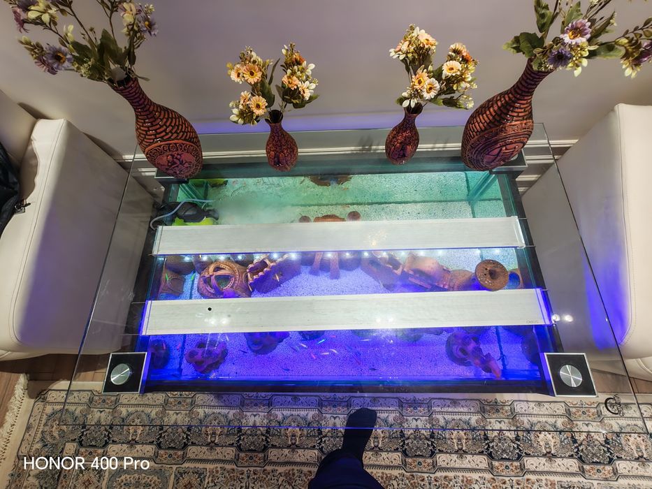 Аквариум 250 литрдан ошик.