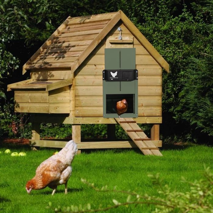 Usa automată pentru găini, Clapă electrică pentru găini,