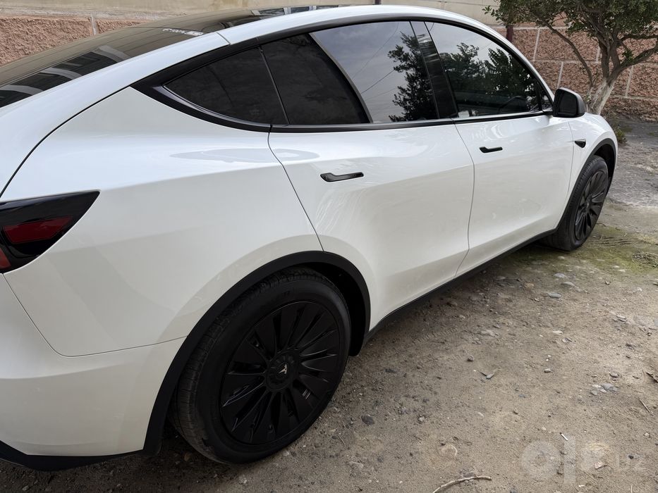 Tesla model Y. RWD .