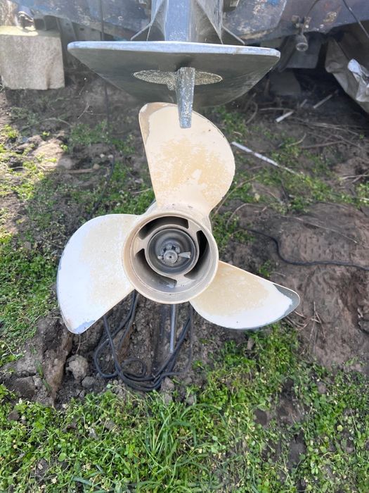 Barca Ranieri Pathfinder 540