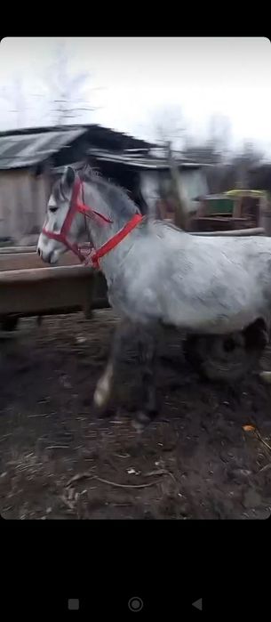 De vânzare sau schimb