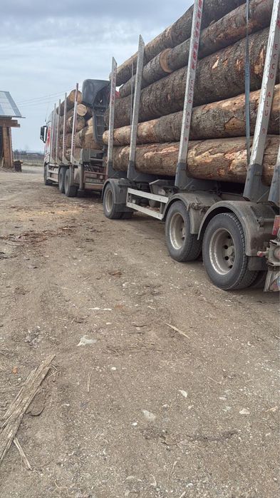 Vand camion forestier si trailer Doll