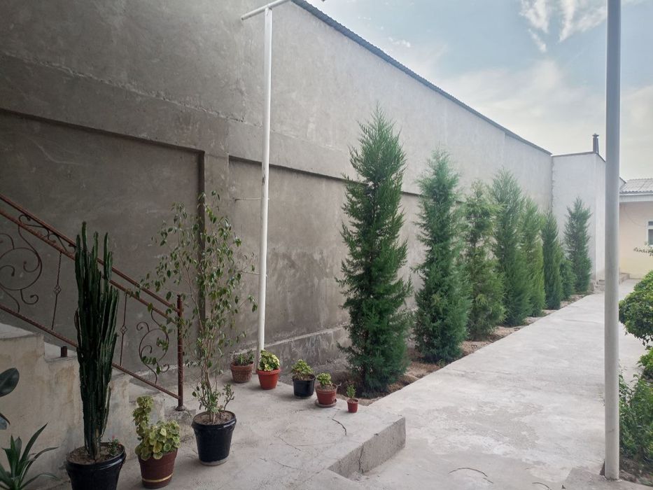 Сйргли район уй сотилади ховли зор жойда жойлашган шошлилила опколишга