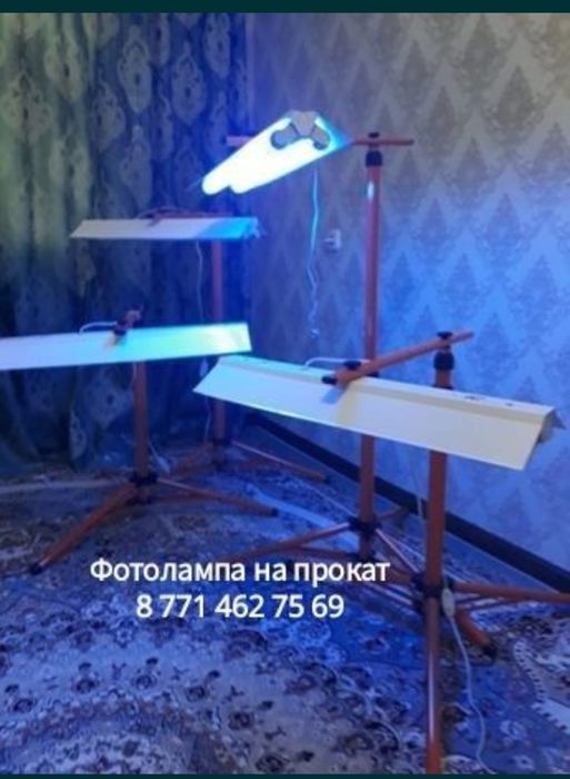 Фота лампа на прокат