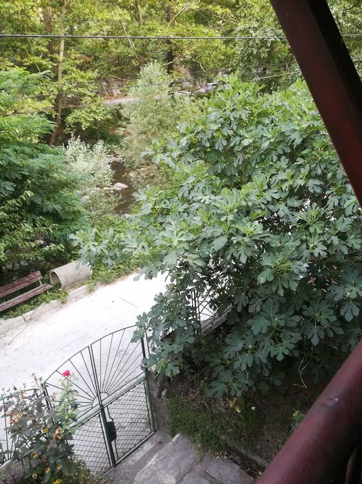 Продава се Къща в Асеновград - 192 кв.м за 782 €/кв.м - Снимка #5